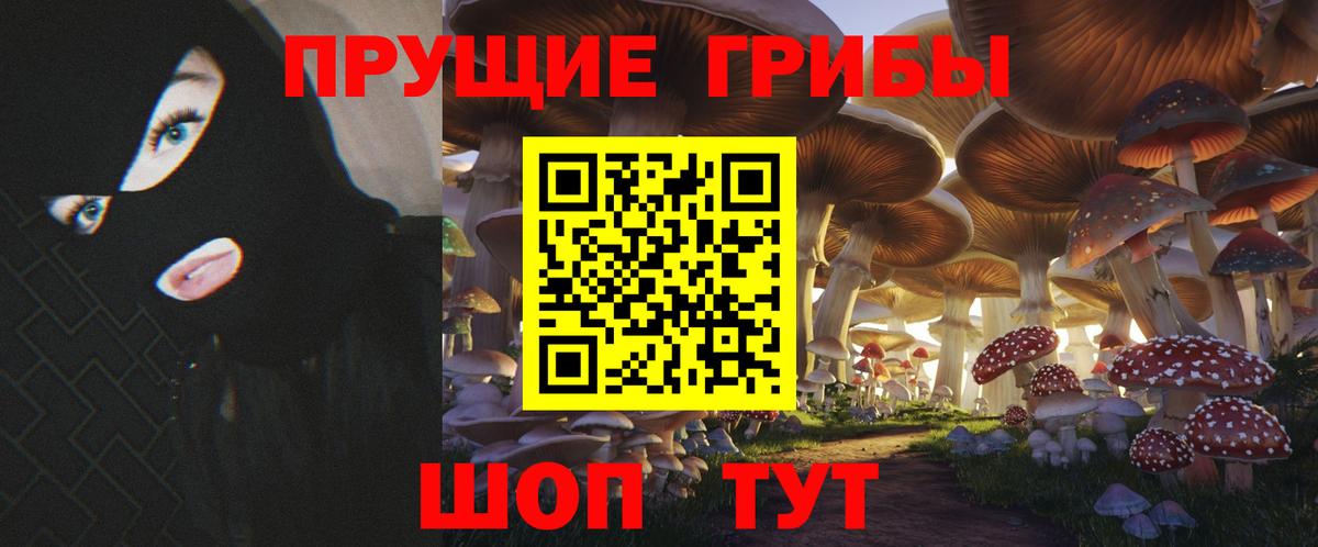 Галлюциногенные грибы Psilocybe  Вход с VPN  даркнет сайт  Луховицы  Галлюциногенные грибы Psilocybine cubensis 